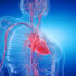 Curso Cuidados Cardiovasculares en Adultos E-learning